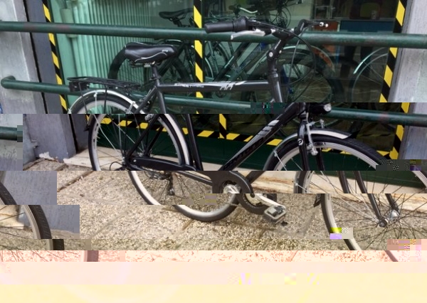 city bike daytona in alluminio - Eventi Sport Tempo Libero - in vendita a  Padova