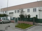 geom. damiano masotina