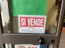 pino