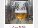 tsunami birra