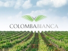 cantine colomba bianca