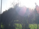 habitat casa immobiliare