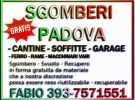 Fabio