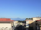lecase