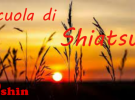 centro ishin