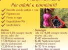 cantine bertelegni
