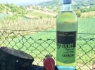 vinicaramellino