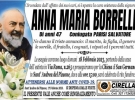 anna palumbo