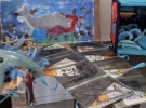 circolo vela mare