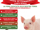 agricoltura in fiera