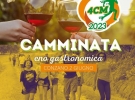 4 colli monferrato