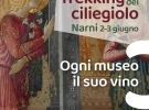 comune di narni