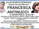 anna musella