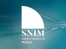 snim