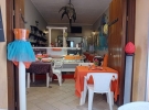 la locanda del coccodrillo