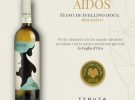 tenuta scuotto