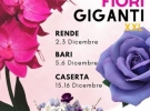 accademia eventi nozze meravigliose
