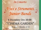il piccolo musicista