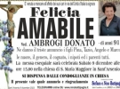 paduano.m