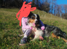 luca