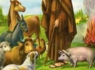 comitato feste cologna paese