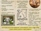 la selvatica asd