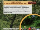 azienda agricola giaquinto