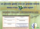 torino volley meneghetti