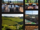 ristorante podere torricella