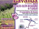 lavandeto di assisi