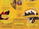 collezione salsapariglia