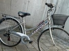 tarducci
