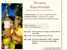 tenuta ippocrate