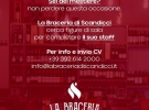 Braceria scandicci