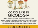 terre del negroamaro aps