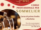 wine specialists council