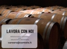 cantele winery