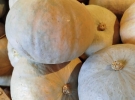 ortofrutta bmb