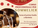 wine specialists council