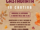azienda agricola bruscia