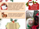 fattoria il borgo