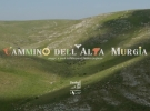 viandanti del sud