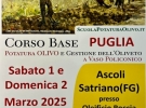 oleificio roccia