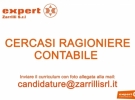 expert zarrilli