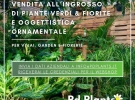 PD plants