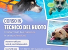 Bologna dog centre