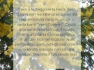 al grano antico