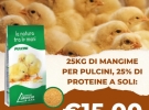 garden center castiello