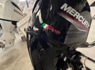 francesco
