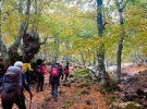 passo passo trekking